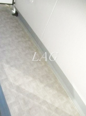 【バルコニー】 | ＭＡＸＩＶ小竹向原 | バルコニーです。