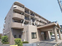 セレッソの画像