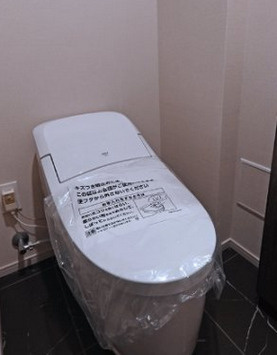 ザ・パークハビオ元浅草プレイスのトイレ