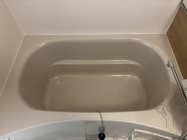 ルフォンプログレ南森町の浴室