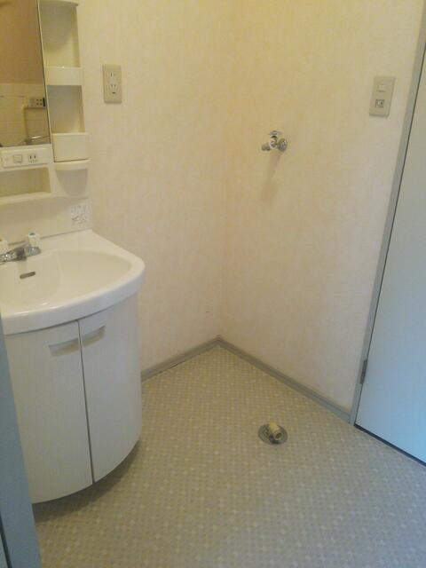 川崎市多摩区栗谷４丁目の賃貸マンションの洗面所