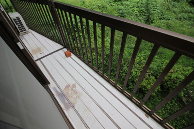 【バルコニー】 | 熊丸貸家