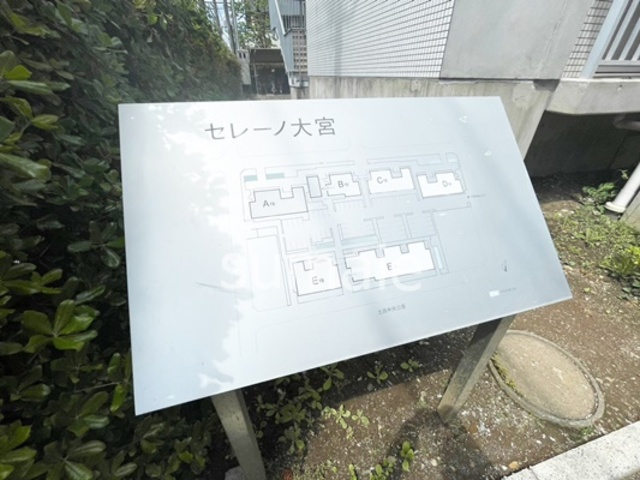 セレーノ大宮A棟の周辺|ランドマークです