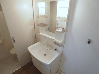 【洗面所】 | 湊川センタービルB棟 | シャワー付きの独立洗面台