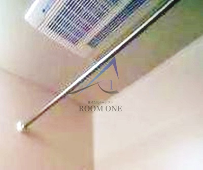 ル･リオン八広GRAND-COURTのその他