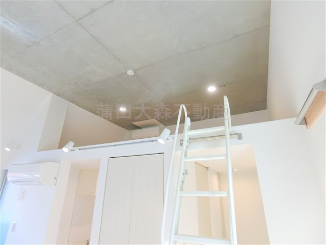 hikariumヒカリウムのその他|ロフト