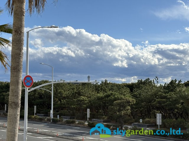 クリオ鵠沼海岸グランロワの展望|江の島のシーキャンドルが見えます