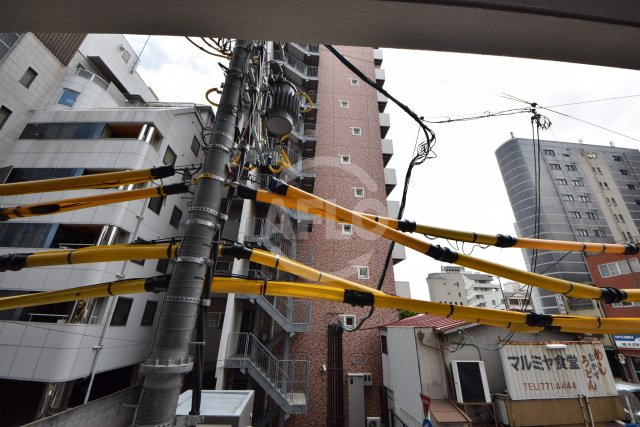 プレサンス THE TENNOJI 逢阪トゥルーの展望|プレサンス THE TENNOJI 逢阪トゥルー　眺望