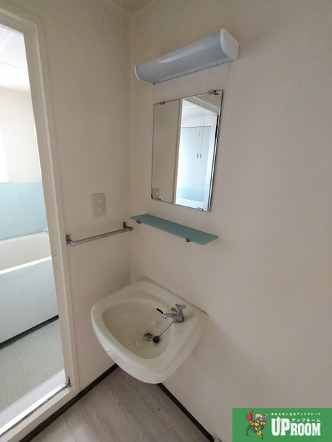 メゾンショーホーの洗面所