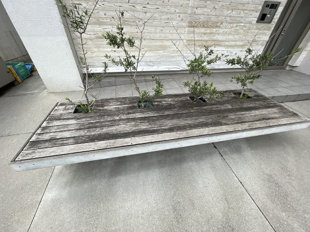 koishikawaコロンのその他共用部分