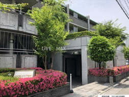 ステラメゾン下北沢の画像