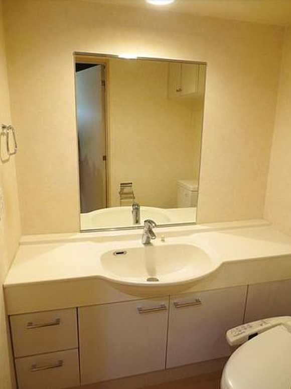 スペーシア池尻大橋　ペット相談　駅近　オートロック　敷金0の洗面所