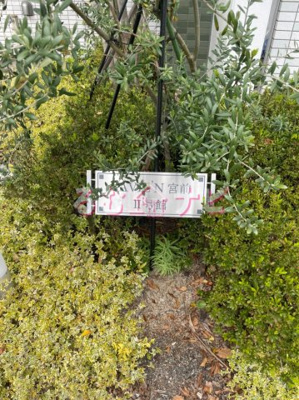 【庭】 | ラヴィアン宮前1号館