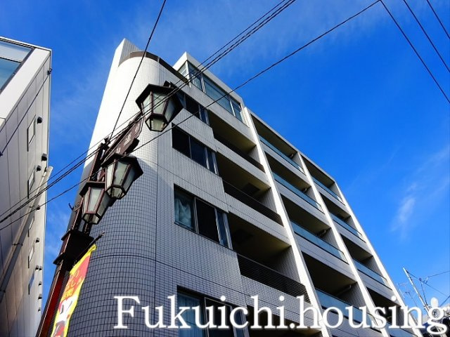 リマーブルヒラタ 