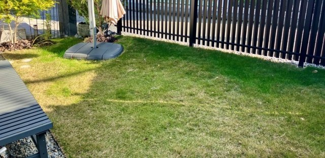 東寺方戸建の庭