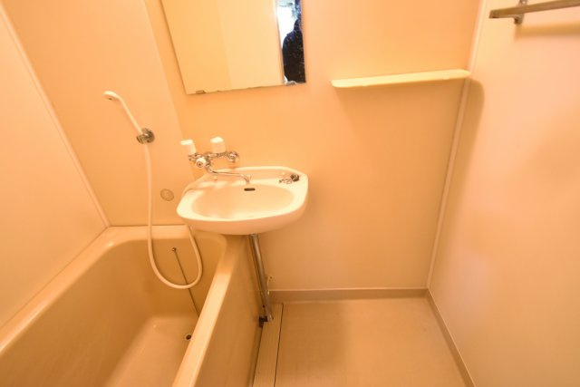 サンハイツバロンIの洗面所