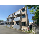 フラットコートⅡの画像