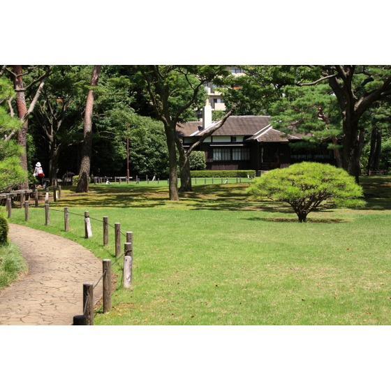 Ｆｌａｔ　ＪＵＮの周辺|公園「殿ケ谷戸公園まで948ｍ」