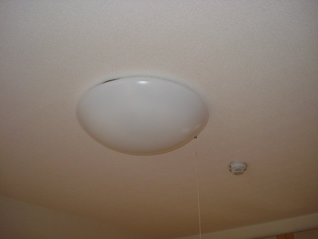 ルミナスハイムのその他|照明