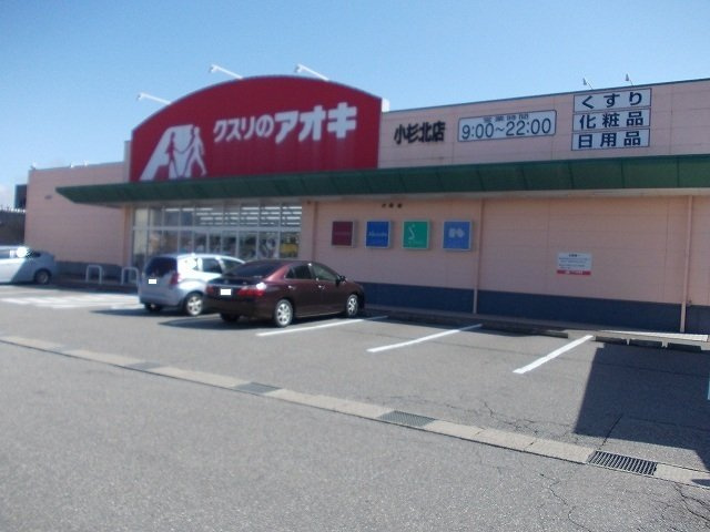 フルールⅡの周辺|クスリのアオキまで350m