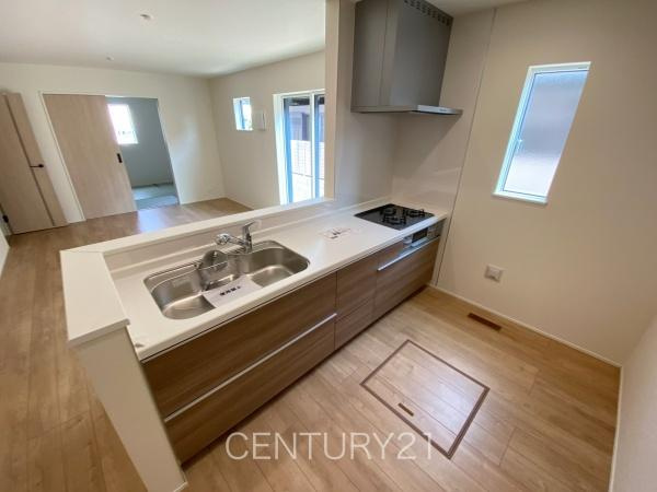 前橋市南町24-1（2号棟）のキッチン|シンクも大きく洗い物もしやすい浄水器付。シャワーヘッドは引き出し可能、シンクの隅々まで洗い流せます。