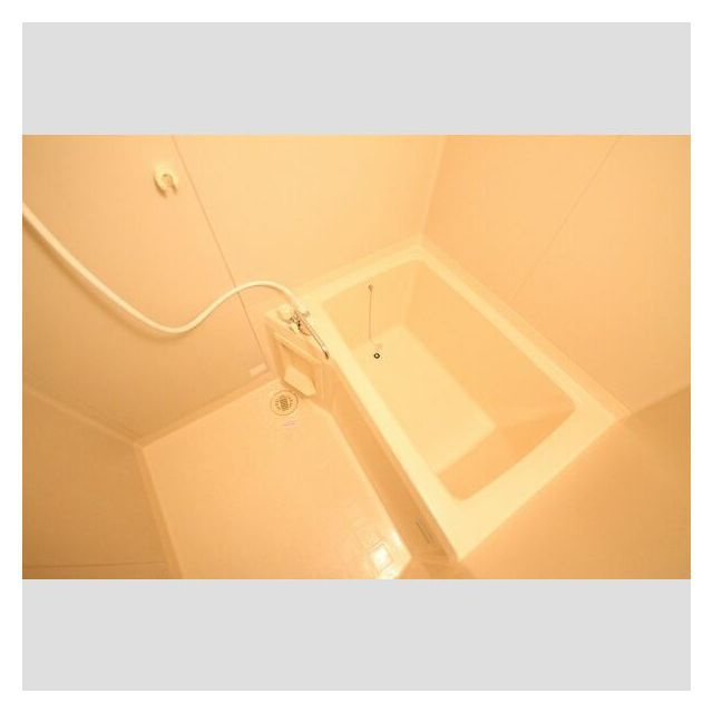 ＤＯＵＰＬＥＸ国王６５の浴室