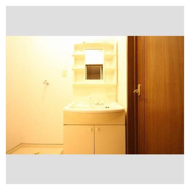 ＤＯＵＰＬＥＸ国王６５の洗面所