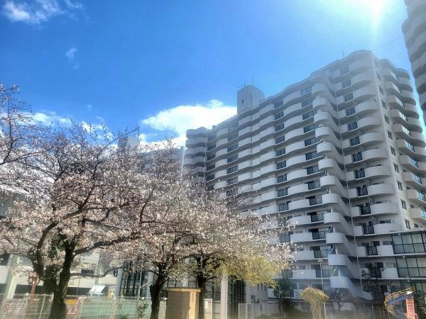 【外観】 | フェルティメイツ泉ヶ丘壱番館　中古マンション | お気軽にお問い合わせくださいませ♪