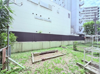 【展望】 | 豊かな陽光に照らしだされる素敵な空間に感動すら覚えます。