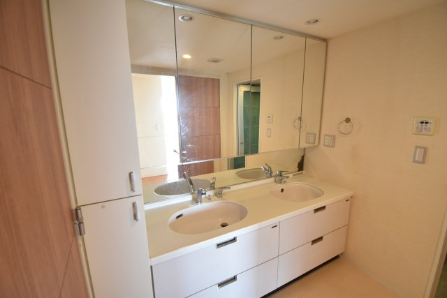 ロイヤルパークス桃坂の洗面所