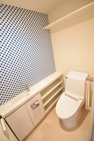 ロイヤルパークス桃坂のトイレ