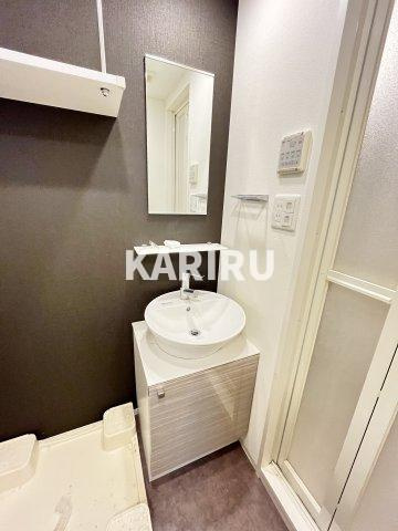 エスリード京橋アミュゼの洗面所