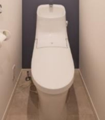アザーレ・ディオン三田のトイレ|施工例