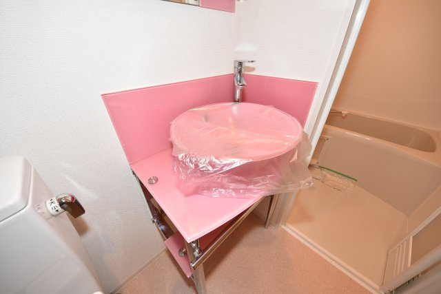 セレニテ本町ルフレの洗面所