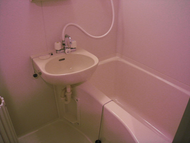 ラズベリーの洗面所