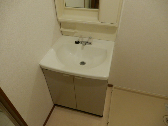 ドミール加佐の洗面所