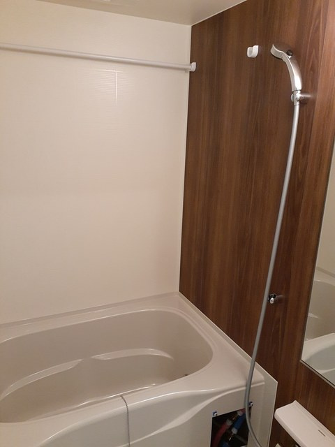 パラッツォ Ⅱ　の浴室