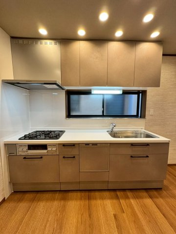 守口市大久保町5丁目のキッチン|食洗器付きシステムキッチン。上下に収納付きなので調理器具もすっきり片付きます！