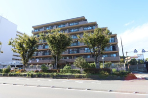 磯子パインプロムナードの画像