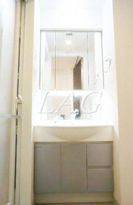 【洗面所】 | 日神デュオステージ蓮根 | 独立洗面台です。