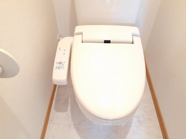 サン・ジェルメのトイレ