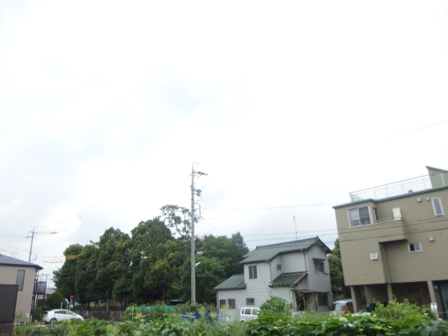 リバーサイド日名の展望