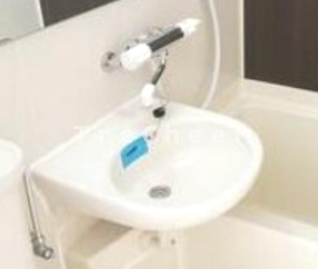 ティーズガーデン蓮根Ⅱ(T'sgarden蓮根Ⅱ)の洗面所