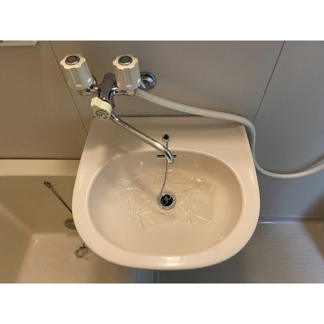 ダイメイパレスⅠの洗面所