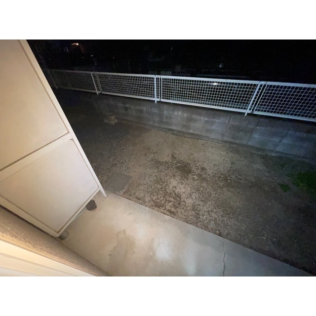 ダイメイパレスⅠのその他