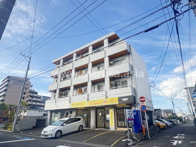 シーラカンスIBIZA