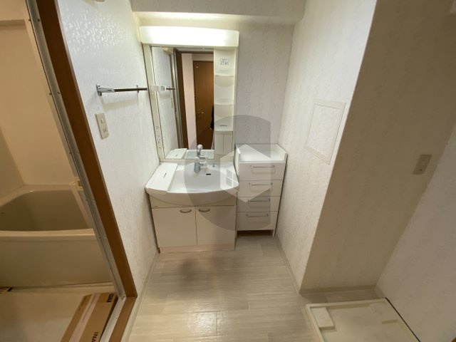 ジュネス花園の洗面所