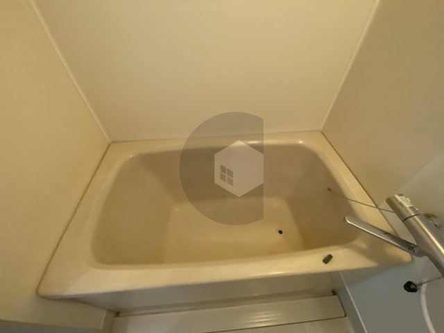 ロイヤルマツイの浴室