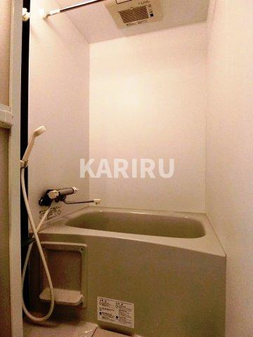 ルーイヒハイムの浴室