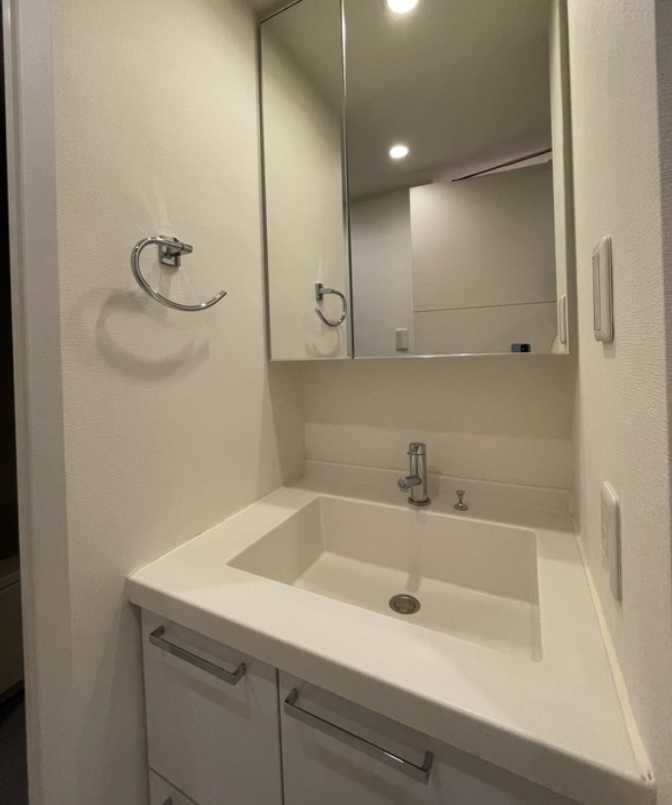 ミリアレジデンス桜新町　敷金０　礼金０　ペット相談の洗面所